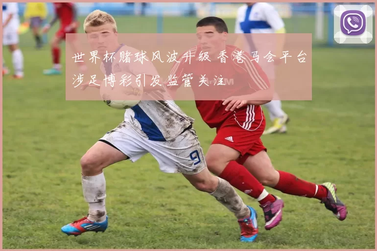 世界杯赌球风波升级 香港马会平台涉足博彩引发监管关注