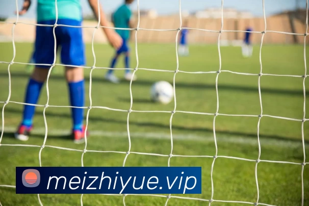 星空体育·星空官方网站 - 星空体育(中国)平台生态图